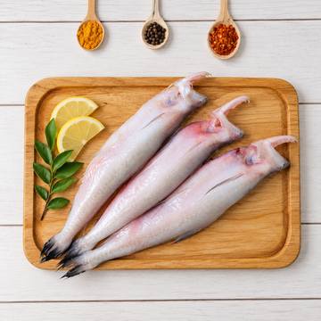 Bombay Duck