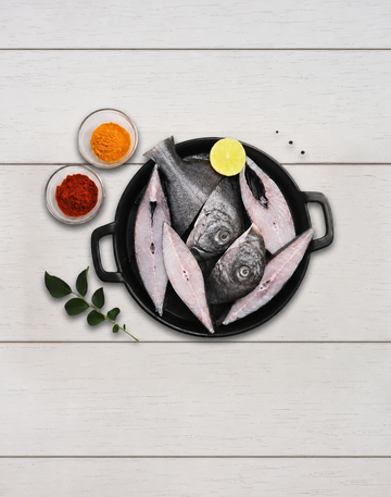 Black pomfret - Streak