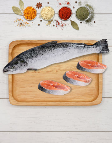 Salmon Fish