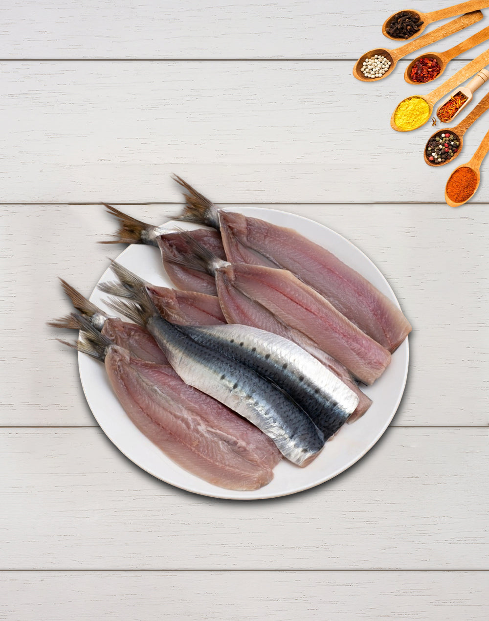Sardine