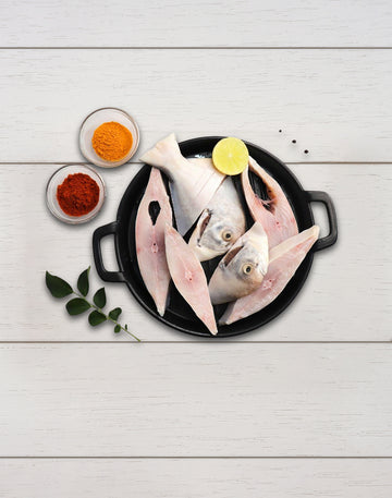 Silver pomfret - Streak